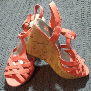 Coral Wedges